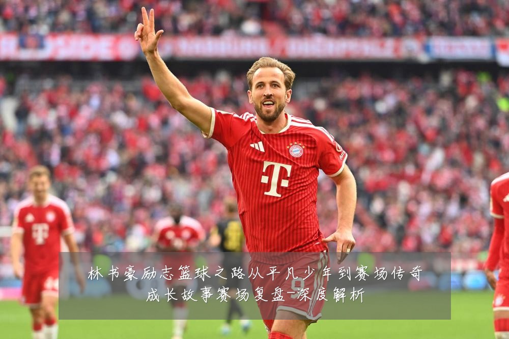 林书豪励志篮球之路从平凡少年到赛场传奇成长故事赛场复盘-深度解析