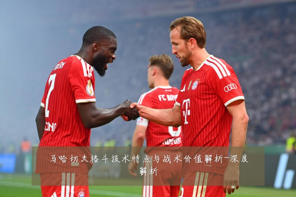 马哈切夫格斗技术特点与战术价值解析-深度解析